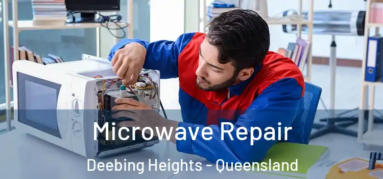 Microwave Repair Deebing Heights - Queensland