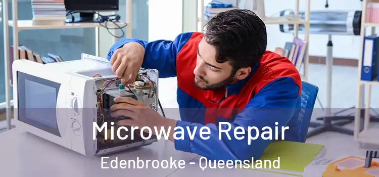 Microwave Repair Edenbrooke - Queensland
