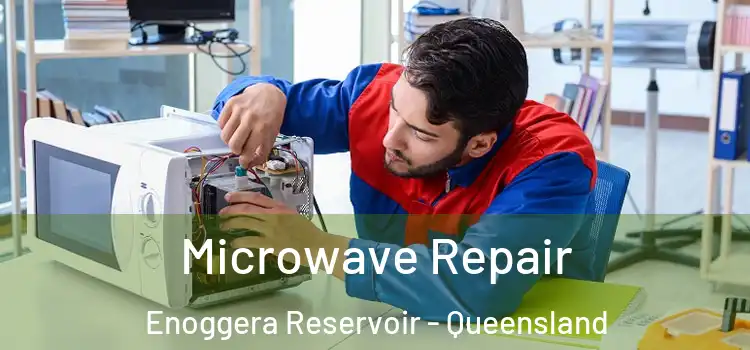 Microwave Repair Enoggera Reservoir - Queensland