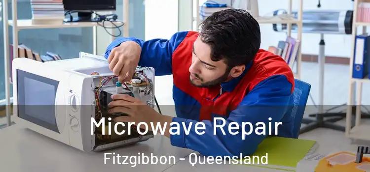 Microwave Repair Fitzgibbon - Queensland