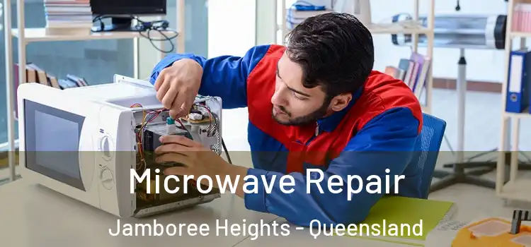Microwave Repair Jamboree Heights - Queensland