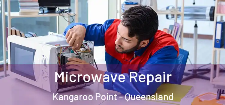 Microwave Repair Kangaroo Point - Queensland