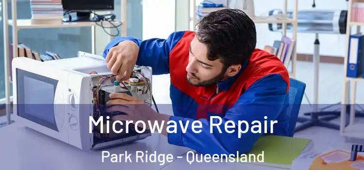 Microwave Repair Park Ridge - Queensland
