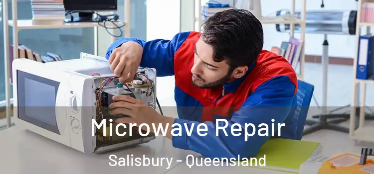 Microwave Repair Salisbury - Queensland