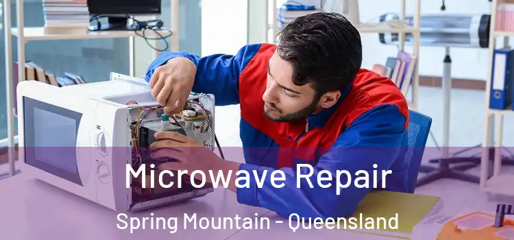 Microwave Repair Spring Mountain - Queensland