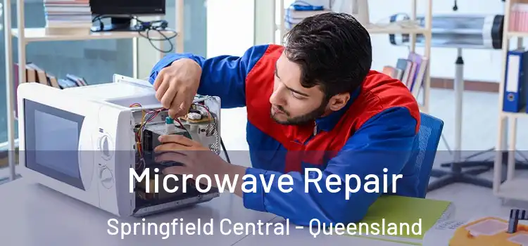 Microwave Repair Springfield Central - Queensland