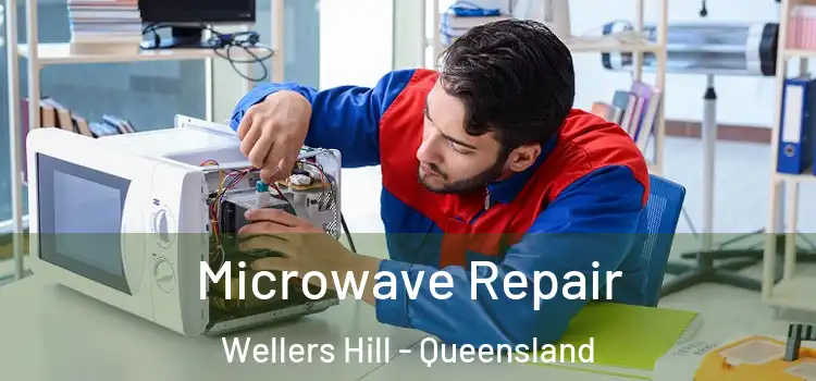 Microwave Repair Wellers Hill - Queensland