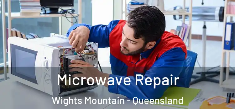 Microwave Repair Wights Mountain - Queensland