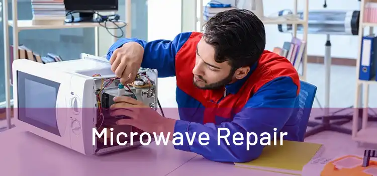 Microwave Repair