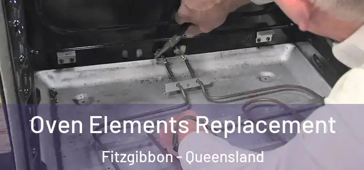 Oven Elements Replacement Fitzgibbon - Queensland