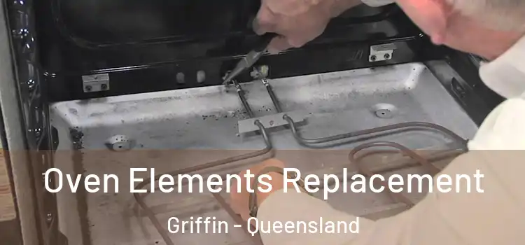 Oven Elements Replacement Griffin - Queensland