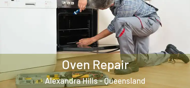 Oven Repair Alexandra Hills - Queensland