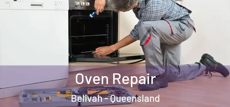 Oven Repair Belivah - Queensland