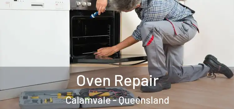 Oven Repair Calamvale - Queensland