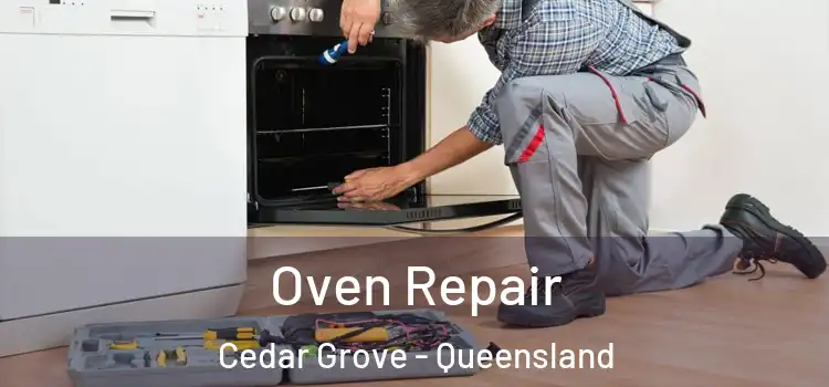 Oven Repair Cedar Grove - Queensland