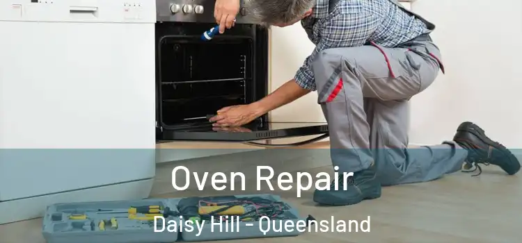 Oven Repair Daisy Hill - Queensland