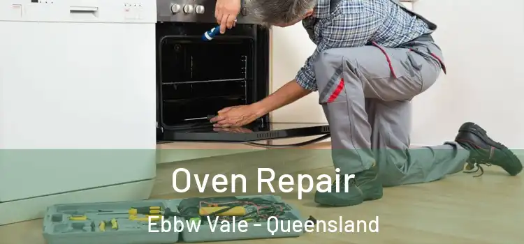 Oven Repair Ebbw Vale - Queensland