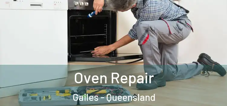 Oven Repair Gailes - Queensland