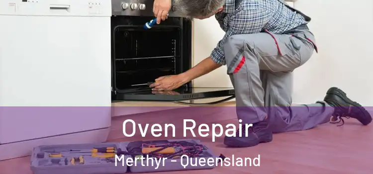 Oven Repair Merthyr - Queensland