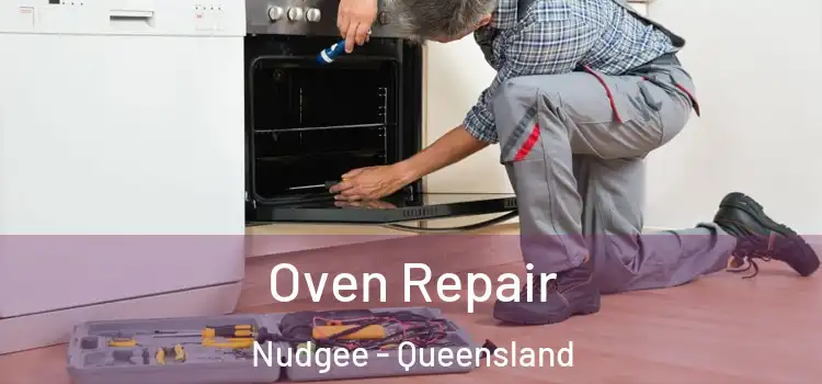 Oven Repair Nudgee - Queensland