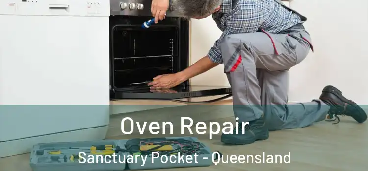 Oven Repair Sanctuary Pocket - Queensland