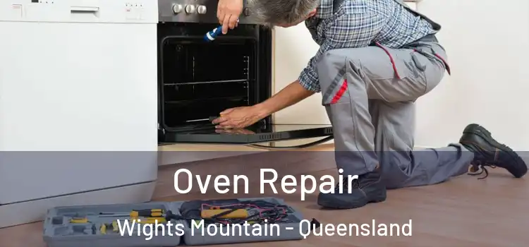 Oven Repair Wights Mountain - Queensland