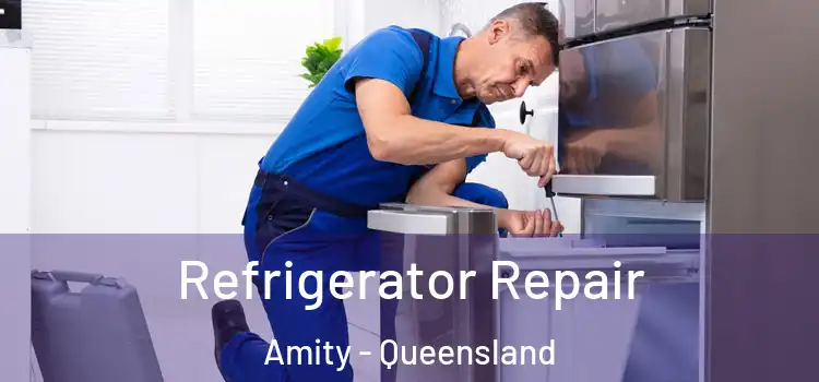 Refrigerator Repair Amity - Queensland