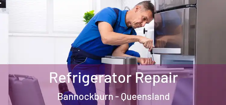 Refrigerator Repair Bannockburn - Queensland