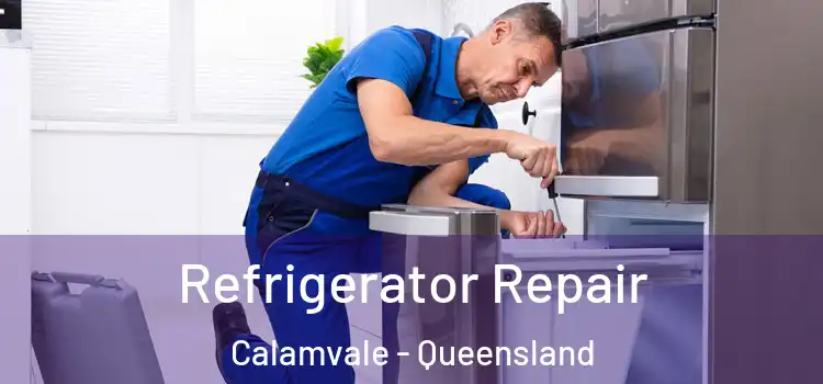 Refrigerator Repair Calamvale - Queensland