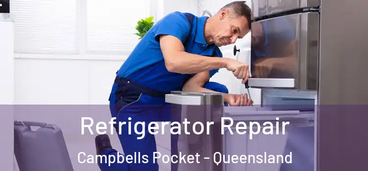 Refrigerator Repair Campbells Pocket - Queensland