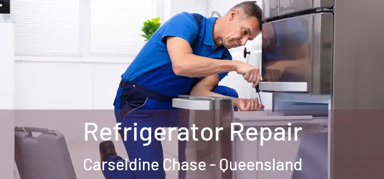 Refrigerator Repair Carseldine Chase - Queensland