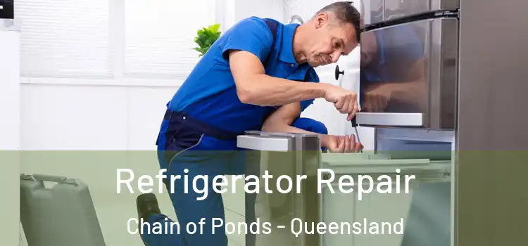 Refrigerator Repair Chain of Ponds - Queensland