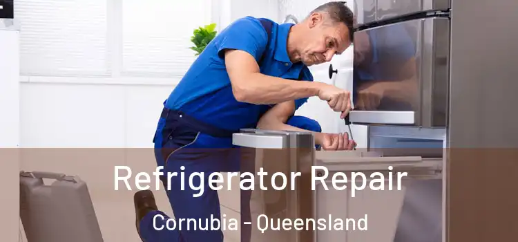Refrigerator Repair Cornubia - Queensland
