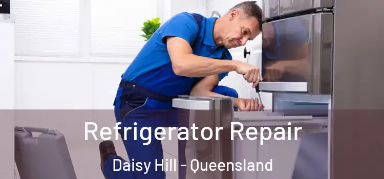 Refrigerator Repair Daisy Hill - Queensland