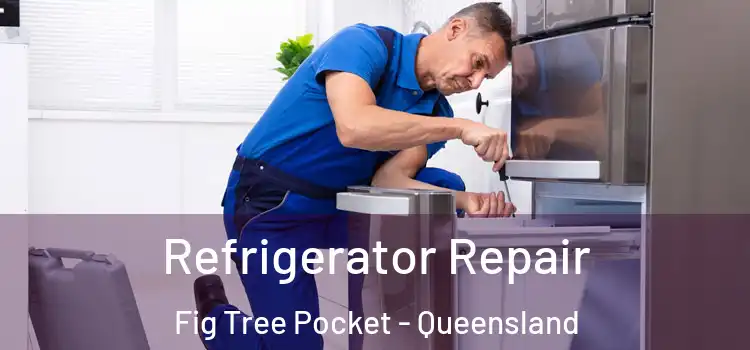 Refrigerator Repair Fig Tree Pocket - Queensland