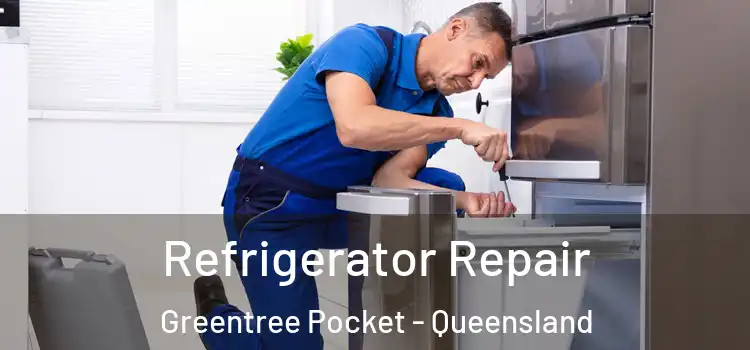 Refrigerator Repair Greentree Pocket - Queensland