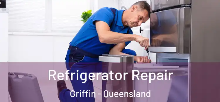 Refrigerator Repair Griffin - Queensland