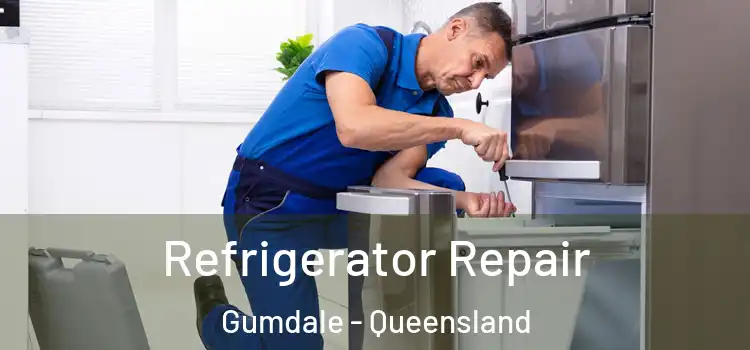 Refrigerator Repair Gumdale - Queensland