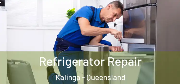 Refrigerator Repair Kalinga - Queensland