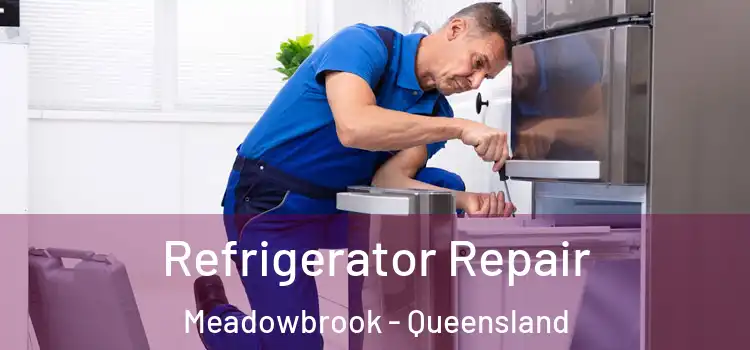 Refrigerator Repair Meadowbrook - Queensland