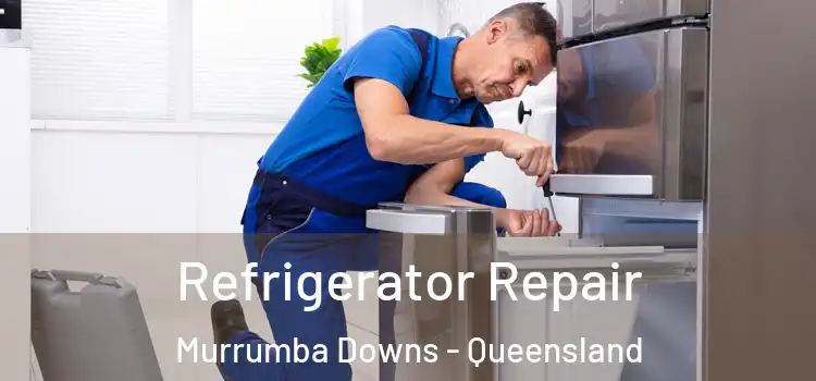 Refrigerator Repair Murrumba Downs - Queensland