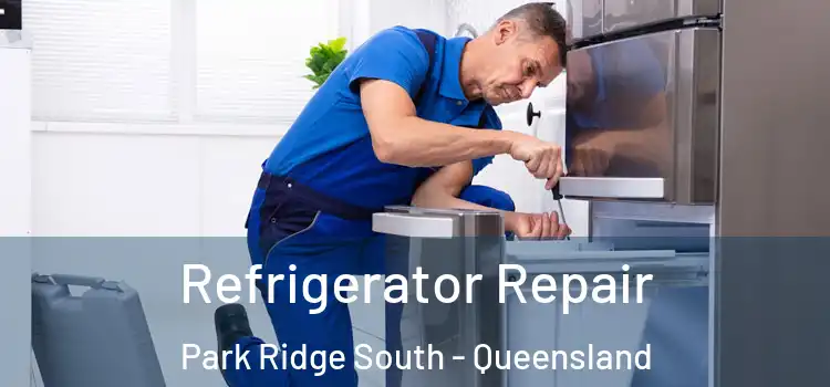 Refrigerator Repair Park Ridge South - Queensland