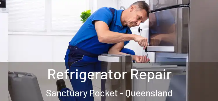Refrigerator Repair Sanctuary Pocket - Queensland