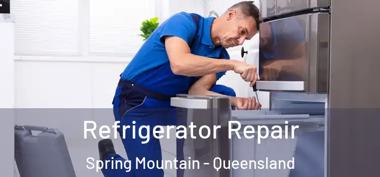 Refrigerator Repair Spring Mountain - Queensland