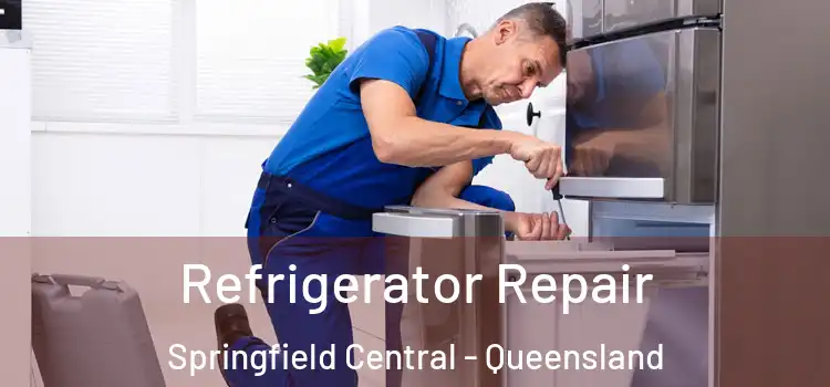 Refrigerator Repair Springfield Central - Queensland