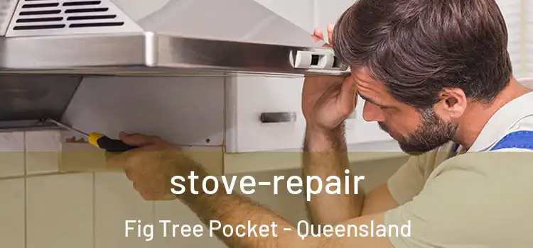 stove-repair Fig Tree Pocket - Queensland