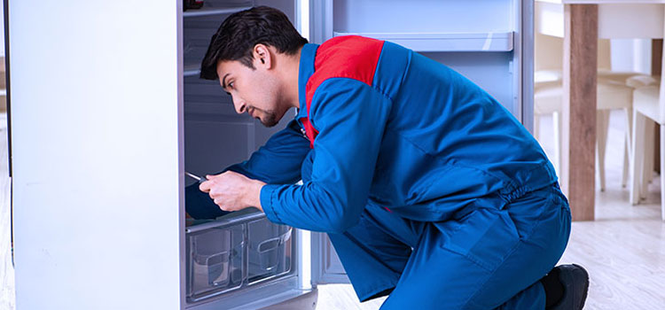 Westinghouse Freezer Repair Services in Brisbane